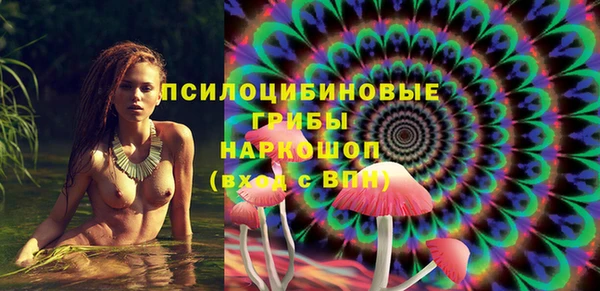 дживик Долгопрудный