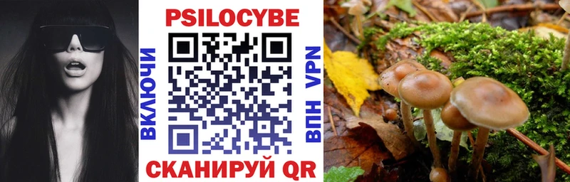 это как зайти  Киренск  Псилоцибиновые грибы GOLDEN TEACHER 
